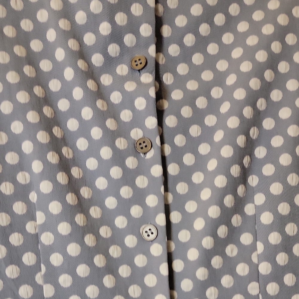 The Limited Blue Polka Dot Dress - Picture 4 of 4